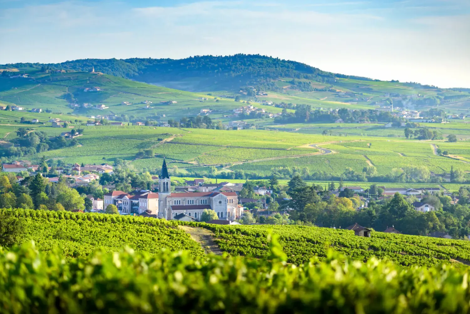 Beaujolais vineyards and a village at the foot of the hills