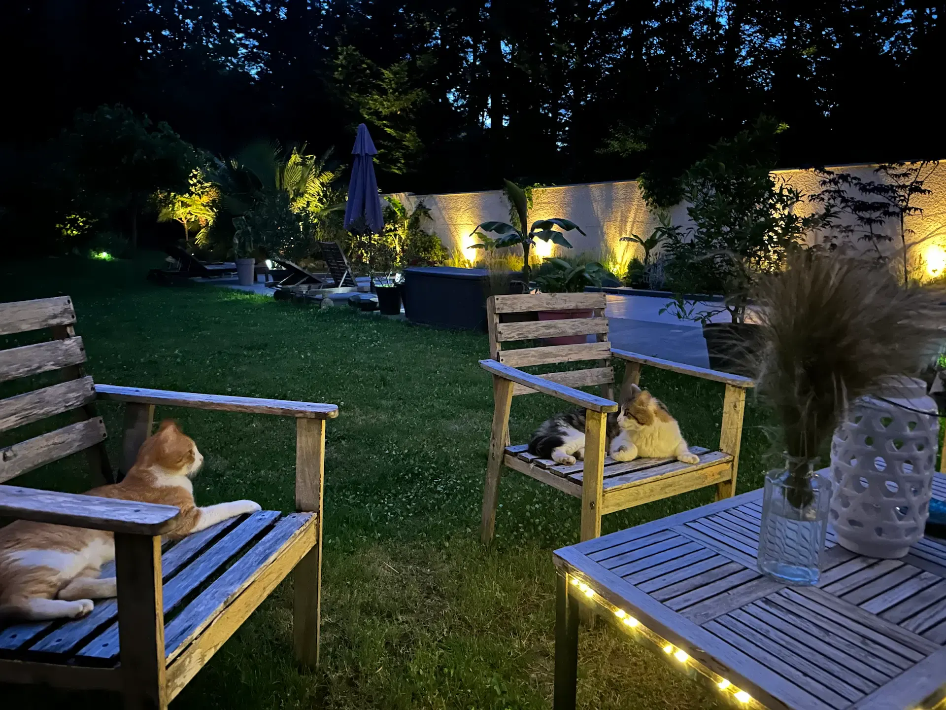 Two cats relax on wooden chairs in a softly lit backyard at dusk. String lights, lush greenery, and a table with a vase create a cozy, tranquil atmosphere.