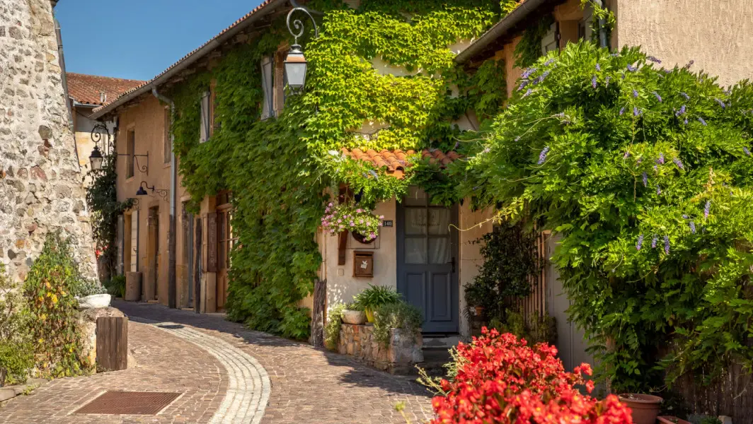 Cobbled lane in Ternand, houses covered with Virginia creeper and wisteria