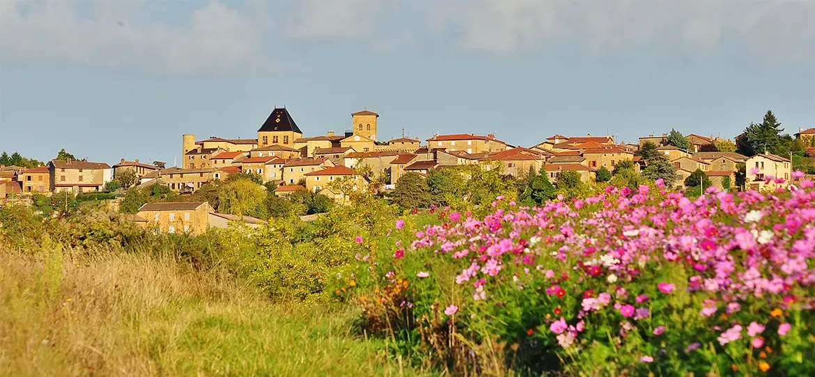 Golden-stone village on the hill, pink flowers in the foreground